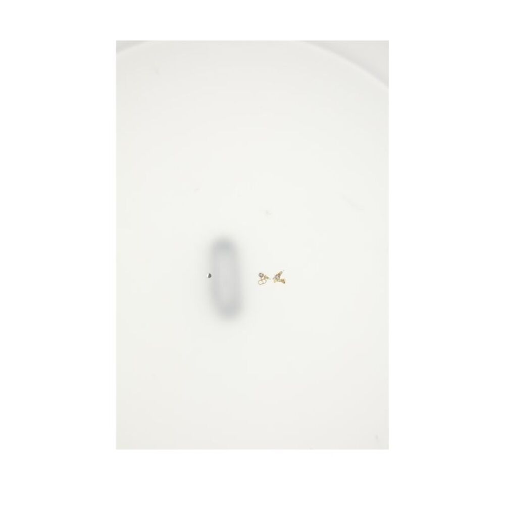 Dior Women Bow Pearl Cd Earrings